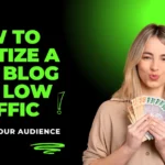 How to Monetize a Niche Blog with Low Traffic