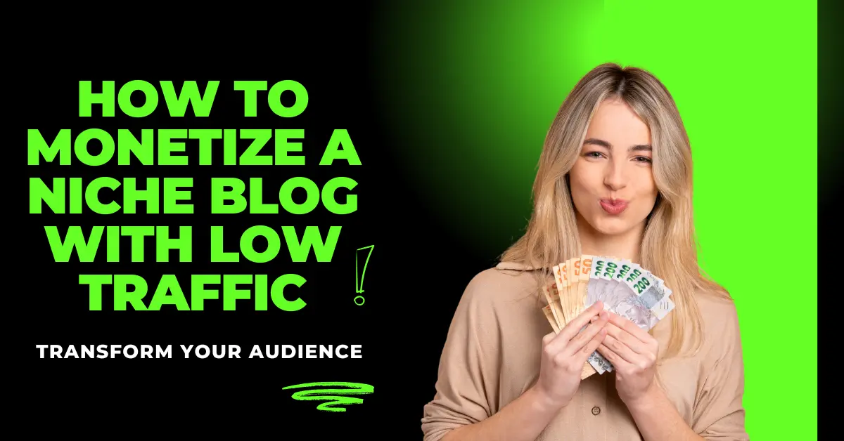 How to Monetize a Niche Blog with Low Traffic